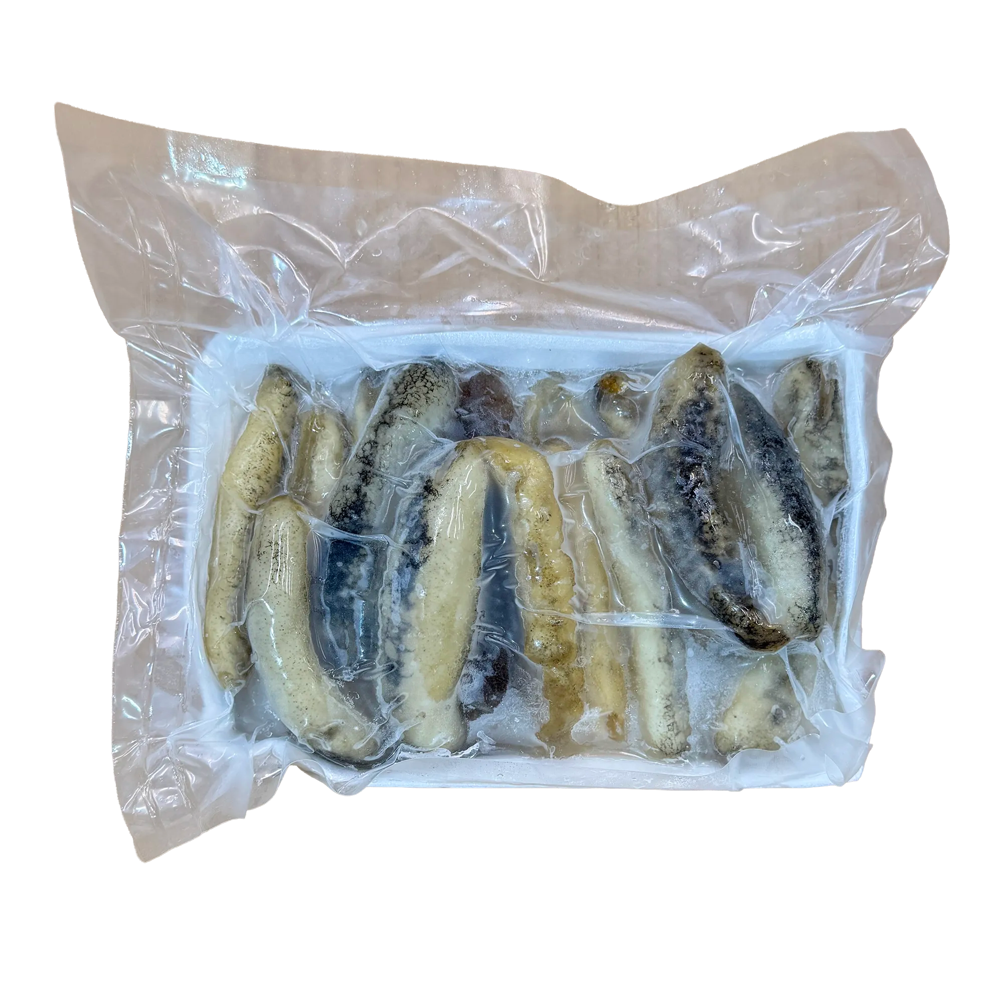 8-10 Mini Sea Cucumber Sandfish 小澳洲秃参 500gm/pkt