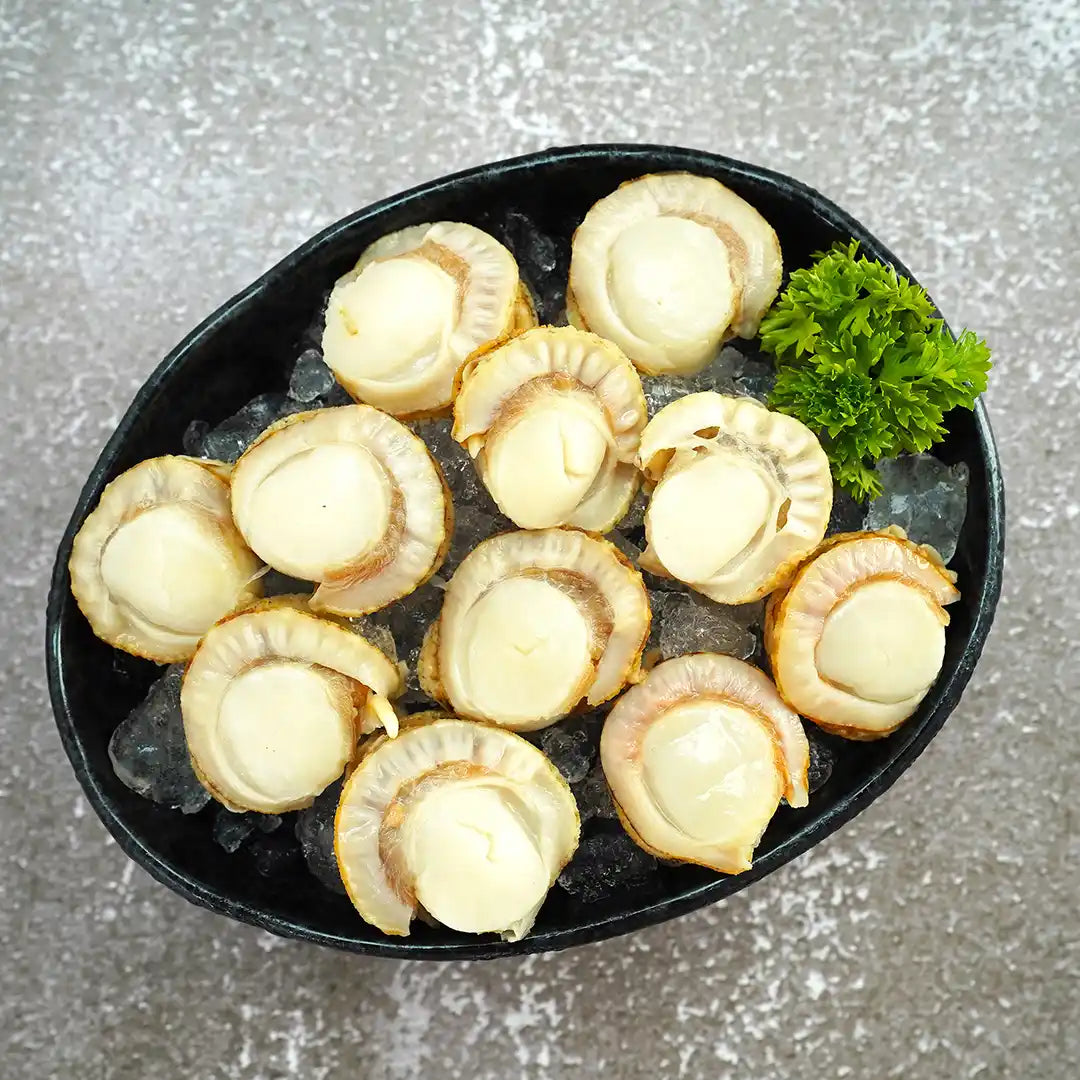 Boiled Scallops 熟带子 500gm/pkt-Mr Joy’s Supermarket Steamboat singapore
