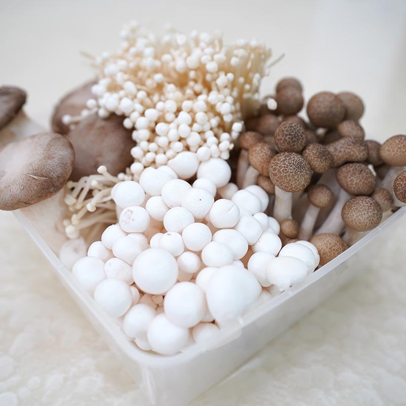 Mushrooms Platter 香菇综合组 700gm/box-Mr Joy’s Supermarket Steamboat singapore