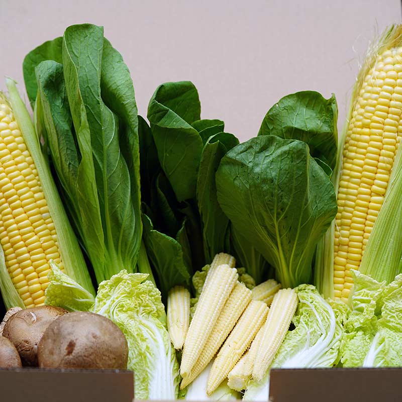 Steamboat Vegetables Box A 欢乐农场 A 1.25Kg/Box-Mr Joy’s Supermarket Steamboat singapore